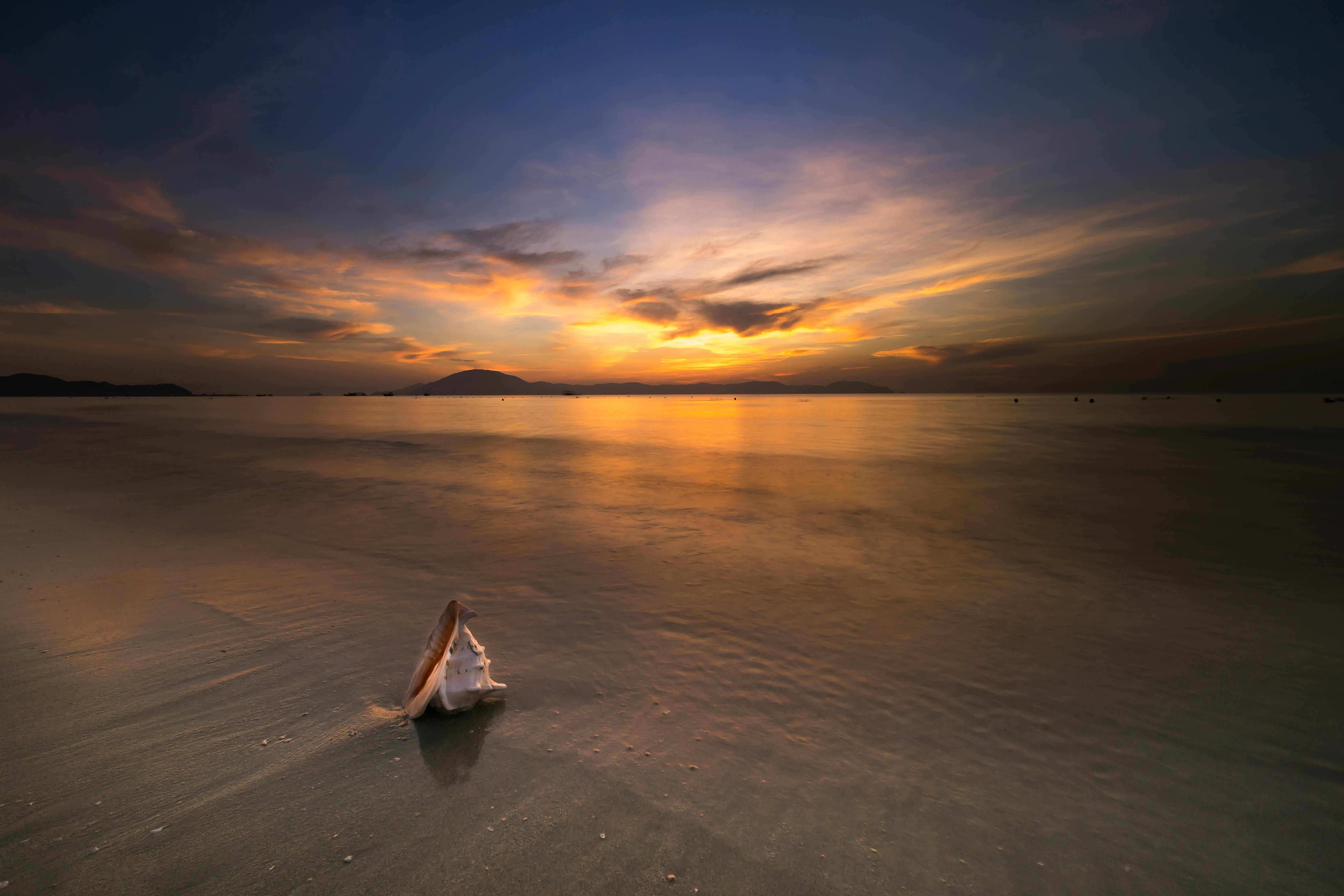 Naples Sunset Tours